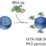 Gücləndirilmiş beyin hüceyrələri demansla əlaqəli zülalları təmizləyir