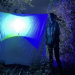 Böyrəklərin bərpasında çatışmayan mərhələ: Zebra balığı köhnə borulara yeni filtrləri necə qoşur