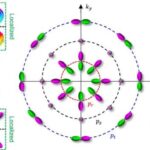 Universal, istifadəyə hazır immunoterapiya, klinikayaqədərki testlərdə endometrial xərçəngi aşkarlayır və məhv edir