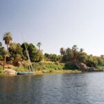 Yaşlı hüceyrələri selektiv şəkildə öldürən yağ turşuları yaşla əlaqəli terapiyalar üçün yeni yollar açır