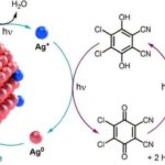 Planetoloqlar Yerin yalnız daxili Günəş sisteminin materialından əmələ gəldiyini göstərirlər