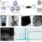 Şam ağacı nematoduna nəzarət: Qiymət və effektivlik arasında ən yaxşı balansı tapmaq