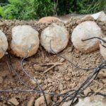 Siyasi sosial media reklamları seçkilərin nəticələrinə təsir edirmi?