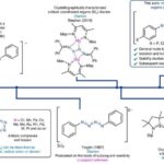 Tədqiqat göstərir ki, yaş ev heyvanları yemində PFAS-a daha çox məruz qalma