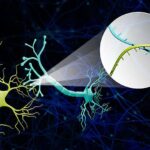 Təkcə spin deyil — elektron orbitalları maqnetizmi idarə etmək üçün yeni bir üsul təmin edə bilər