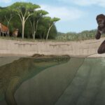 Elektrik enerjisi istehsal edən bakteriyalar: Molyusk əsaslı gel çirkab sularını və qidanı necə izləyə bilər