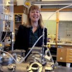 Nəhəng dinozavr sümüyü T. rex-in mənşəyini ortaya çıxara bilər