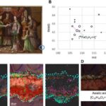 İlk dəfə olaraq eyni anda iki yerdə mövcud olan atom cütləri müşahidə edildi