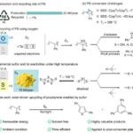 “Qaya saatı” Yer kürəsinin erkən mürəkkəb heyvan həyatının zaman ölçülməsini dəqiqləşdirir