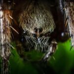 Görüntüləmə metodları ilə bağlı “Milestone” tapıntıları batareya mikroskopiyasına daha yaxından baxmağı tələb edir