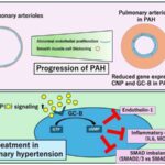 Qrafen sensorları mayelərdə sabit qalır və həssaslığı 20 dəfəyə qədər artırır