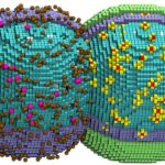 Qolfstrimdə bir dəyişiklik böyük bir okean cərəyan sisteminin dağılmasına necə işarə edə bilər
