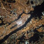 Alimlər məhsul viruslarını son Buz dövrünə qədər izləyir