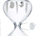 Neandertallar tərəfindən ovlanan nəhəng fillər buz dövrü Avropasında yüzlərlə kilometr yol qət ediblər