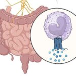Dərin dəniz təbii birləşmələri ikili mexanizm vasitəsilə xərçəng hüceyrələrini hədəf alır