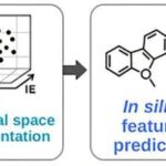 Hüceyrə ölümünün “gözəl” halqaları bioloji dayanıqlılıq və immunitet üçün təsirlərə malikdir