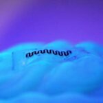 Gənə tüpürcəyinin dayandırılması: Laymın qarşısının alınması üçün yeni tüpürcək nəzarət xəritəsi nə demək ola bilər