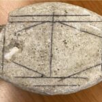 Keçmiş iqlim dəyişikliyi: İlk göstəricilər tropik həyatın 1,5°C-yə qədər davamlılığını göstərir