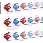 Təcrübə Titan üzərində hüceyrəyəbənzər membranların olması fərziyyəsini şübhə altına alır