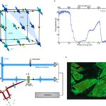 Süni intellekt partlayan fraqmentlərdən molekulları bərpa edir