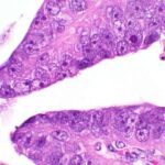 Təkcə spin deyil — elektron orbitalları maqnetizmi idarə etmək üçün yeni bir üsul təmin edə bilər