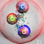 Təcrübə, elektronların ultra intensiv lazerə dəyməsi ilə kvant şüalanması reaksiyasını müşahidə edir