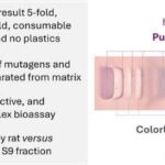 Araşdırmalar göstərir ki, güvələr bir əsr əvvəlkindən daha gec uçurlar