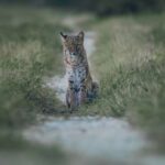 Araşdırmaya görə, enerji istehsalçıları xərc qənaətinə baxmayaraq bazar inteqrasiyasını maneə törətmək üçün maliyyə stimullarına malikdirlər