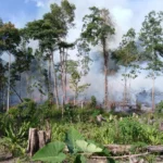 Artemis II: NASA Aya qayıtmağa hazırlaşır, bəs niyə geri qayıdır?