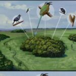 Tasmaniya pələngi Arnhem Torpaq qayaüstü rəsmlərində yaşayır