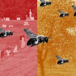 Kainatın başlanğıcından qalaktikaların təkamülünü görün və eşidin