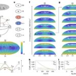 Y-kapellasit materialında təzyiqlə tənzimlənmiş kvant spini mayeyəbənzər davranış müşahidə edildi