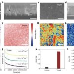 Əkizlər üzərində aparılan araşdırma, IQ ilə sosial-iqtisadi status arasındakı əlaqənin çox hissəsini genlərin izah etdiyini göstərir
