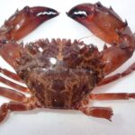 Rentgen şüalarındakı gizli xüsusiyyətlər onları necə ölçdüyümüzü və anladığımızı kökündən dəyişə bilər