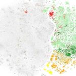 FAST, pulsar vəziyyətinə keçən özünəməxsus fırlanan radio keçidini müşahidə edir