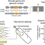 Xəritədə olmayan ada tezliklə dəniz xəritələrində görünəcək