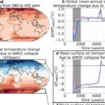 “Kök hüceyrələrinin yoxlanılması məntəqəsi” kök hüceyrələrinin kimliyini idarə etməyə kömək edir