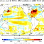 Qədim əkinçilik ipuçları nəhayət bəşəriyyətin ən vacib buğdasının ilk harada ortaya çıxdığını ortaya çıxara bilər