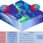 6000 il əvvəl Rumıniyada aşkar edilmiş meqastruktur icma hakimiyyətinə işarə edir