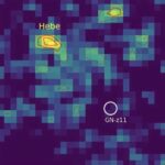 Alimlər San-Fransisko körfəzinə girən boz balinaların təxminən 18%-nin orada öldüyünü aşkar ediblər.