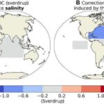 Dəniz səviyyəsinin qalxmasından şəhəri qorumaq üçün nəzərdən keçirilən variantlar arasında Venesiyanı başqa yerə köçürmək də var
