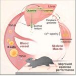 Süni intellekt aləti bahalı laboratoriya testlərindən əvvəl yeni dərman molekullarının necə hərəkət etdiyini proqnozlaşdırır