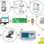 Pataqoniyadakı ən qədim dəfn Cənubi Amerikanın Atlantik sahili boyunca erkən insan məskunlaşmasını göstərir