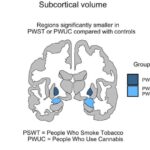 Molekulyar qatqı silikon-perovskit tandem günəş batareyasının səmərəliliyini 32,76%-ə qədər artırır