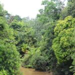 Qərb musiqisi gündən-günə daha sadə və təkrarlanan hala gəlir və məlumatlar bunu sübut edir