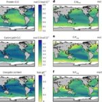 Yeni katalizator davamlı bakteriyaları məğlub etmək üçün hədəflənmiş antibiotik yenidən dizaynına imkan verir