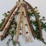 Bol mineralda altermaqnetizmin təsdiqlənməsi