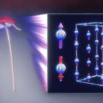 Daha təhlükəsiz beyin implantlarının arxasındakı incə elm