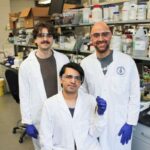 Plazma əsaslı hissəcik sürətləndiriciləri üçün yeni bir yol