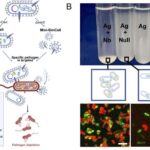 Marsı Terraforminq Etmək: Planeti İstiləşdirmək üçün hazırlanmış aerozolların modelləşdirilməsi